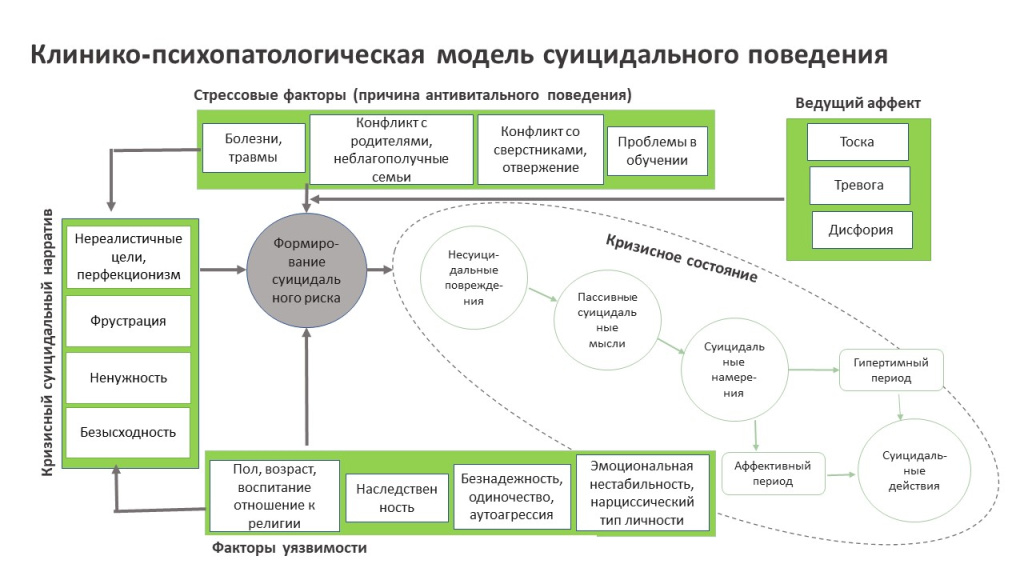 Супервизия_Модель.jpg